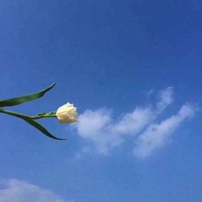 寒刃2无网络免登录版下载