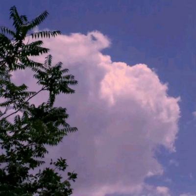 堕落世界侏罗幸存者破解版下载